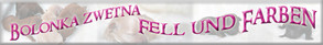 Fell und Fellfarben Bolonka